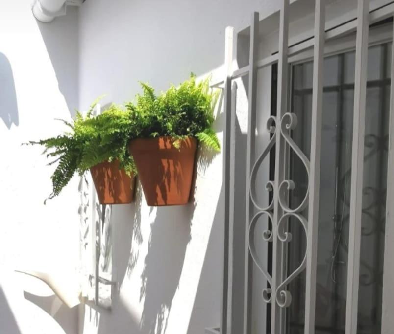 La Marieta, Casita Acogedora Y Centrica Villa Castilleja de la Cuesta Luaran gambar